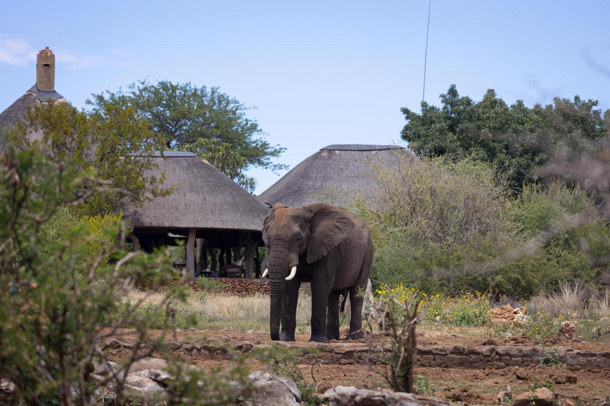 Rhulani Safari alojamiento Reserva de Madikwe Exterior foto