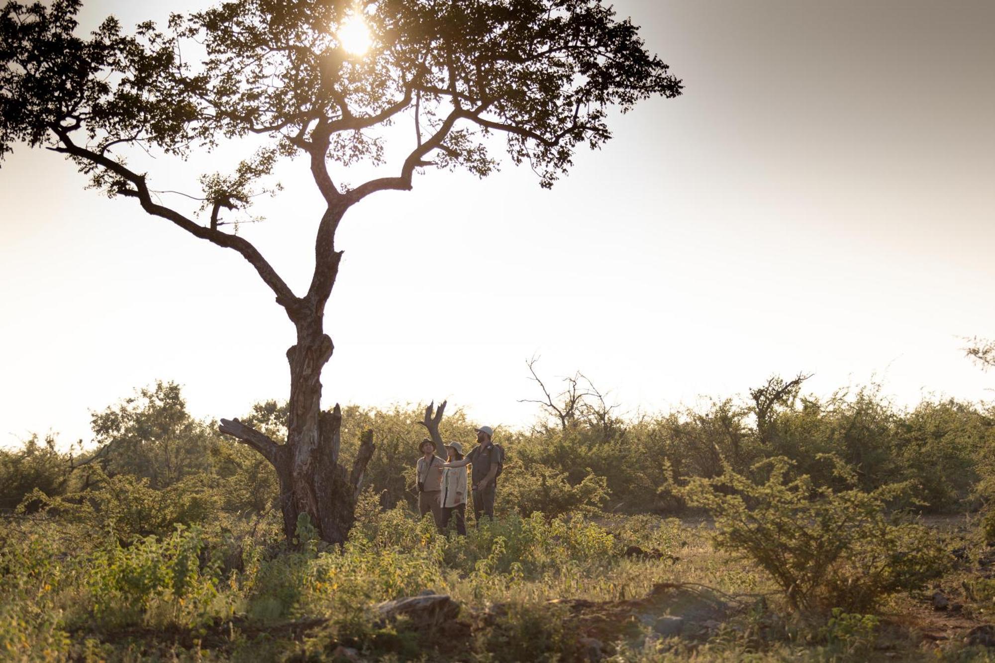 Rhulani Safari alojamiento Reserva de Madikwe Exterior foto