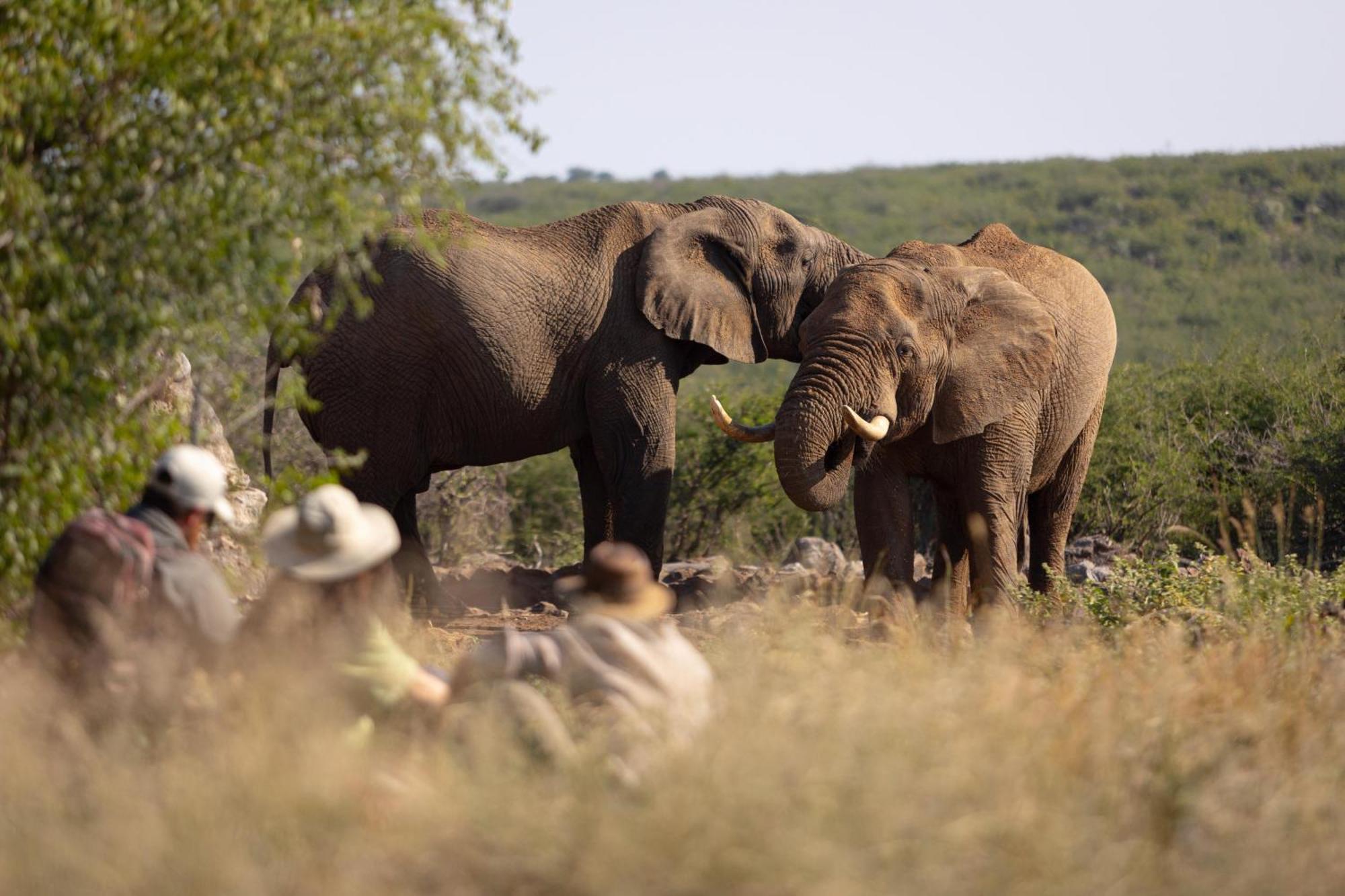 Rhulani Safari alojamiento Reserva de Madikwe Exterior foto