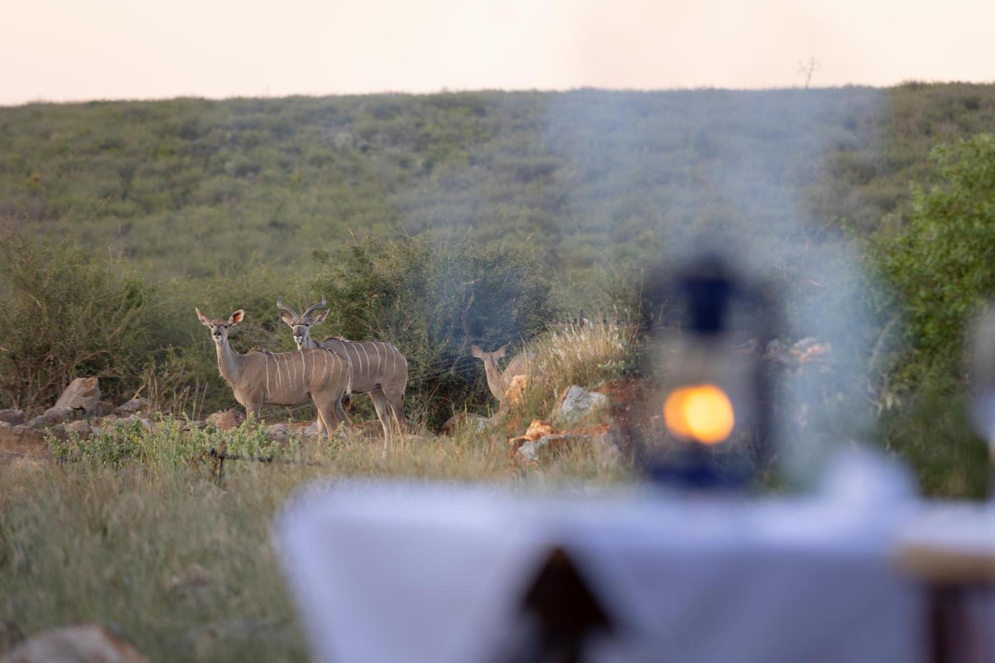 Rhulani Safari alojamiento Reserva de Madikwe Exterior foto