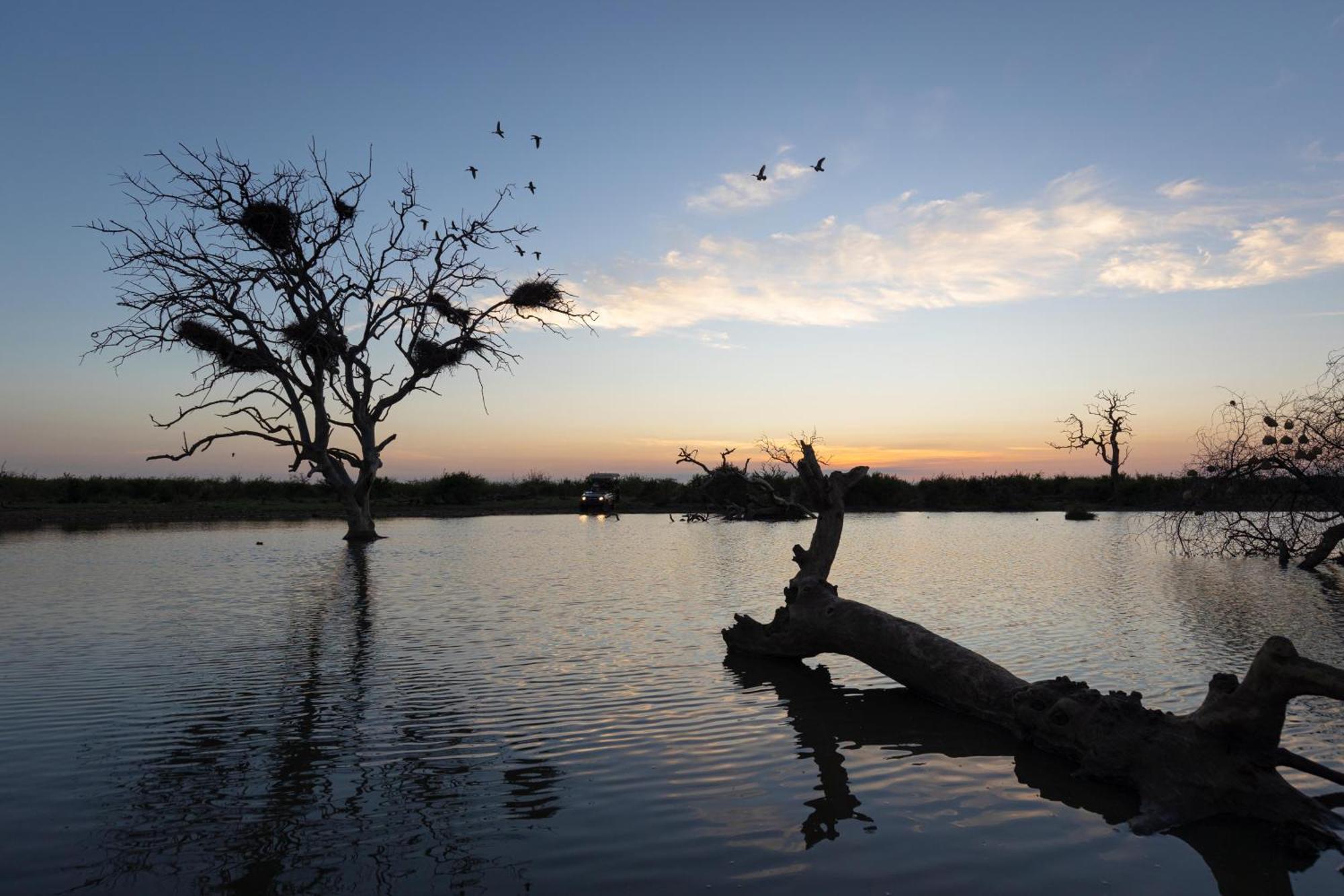 Rhulani Safari alojamiento Reserva de Madikwe Exterior foto