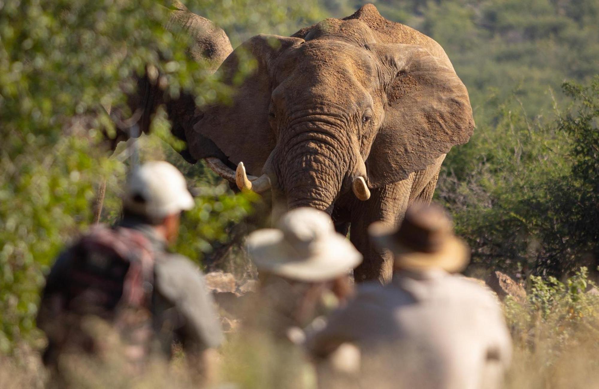 Rhulani Safari alojamiento Reserva de Madikwe Exterior foto